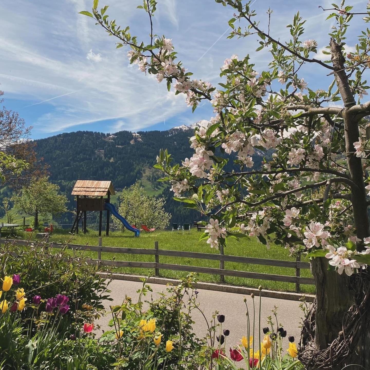 Hotel Alpenland 摩梭 外观 照片