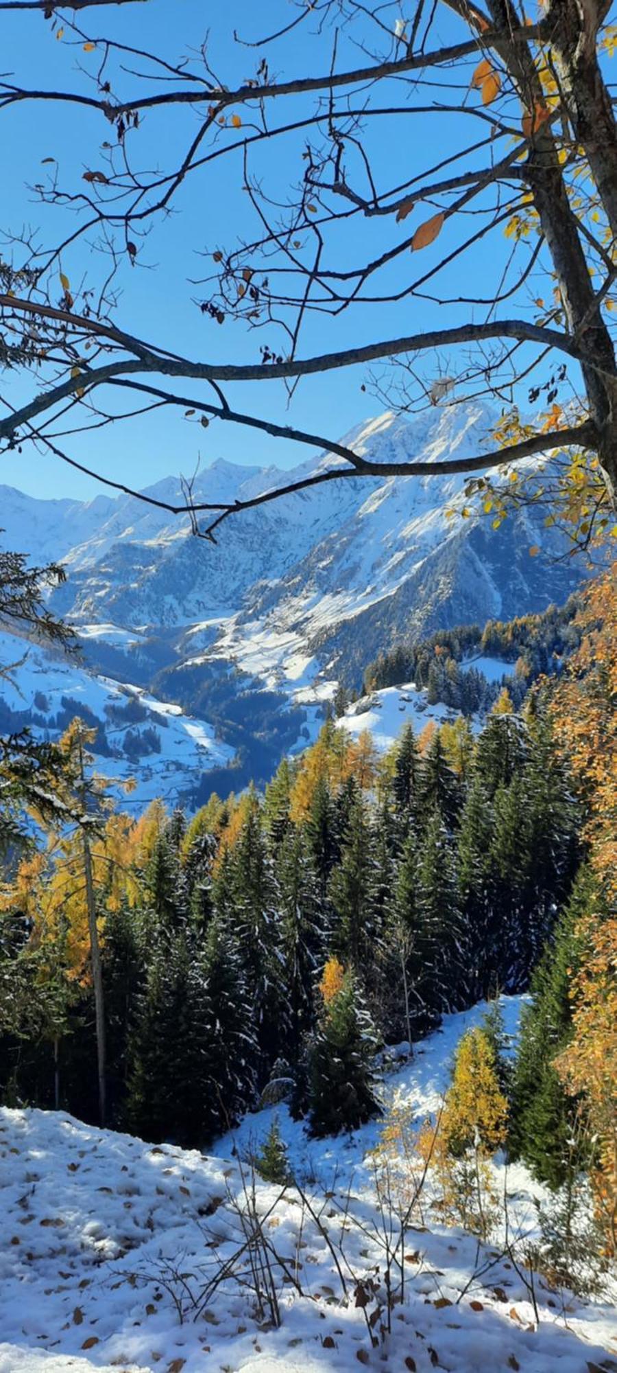 Hotel Alpenland 摩梭 外观 照片
